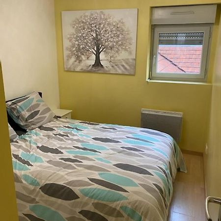 Bel Appartement Coeur De Ville شالو سور سون المظهر الخارجي الصورة